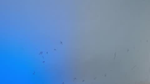 Snapshot of dakkotta_curvy chatting on 10-15-25, 08:03 VALENTINA online show from 10-15-25, 08:03