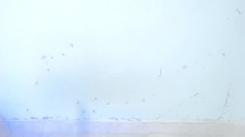 Snapshot of dakkotta_curvy chatting on 10-16-25, 08:48 VALENTINA online show from 10-16-25, 08:48