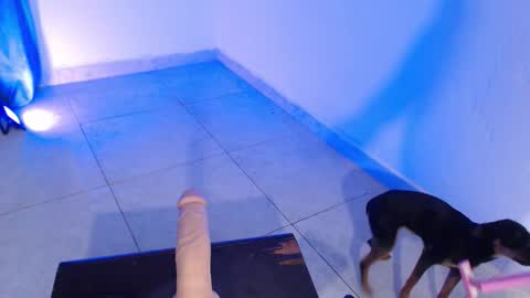 Snapshot of dakkotta_curvy chatting on 11-16-25, 07:41 VALENTINA online show from 11-16-25, 07:41