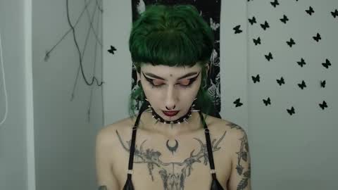 dakota online show from 12-07-24, 02:42