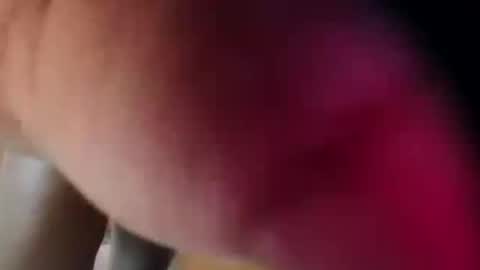 Snapshot of dakotaholand chatting on 12-05-25, 06:33 dakotaholand online show from 12-05-25, 06:33