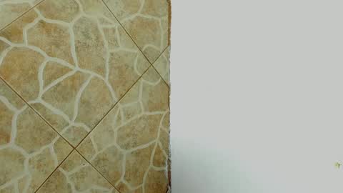 Snapshot of damara_ochoa chatting on 02-08-25, 07:04 online show from 02-08-25, 07:04