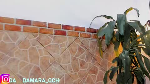 Snapshot of damara_ochoa chatting on 02-22-25, 07:45 online show from 02-22-25, 07:45