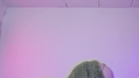 Criss online show from 02-06-25, 04:21