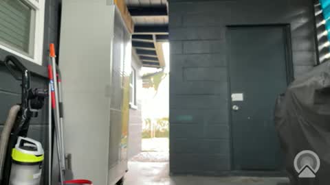 Clyde online show from 11-09-25, 06:28