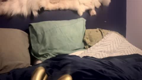 damontsi online show from 02-24-26, 02:48