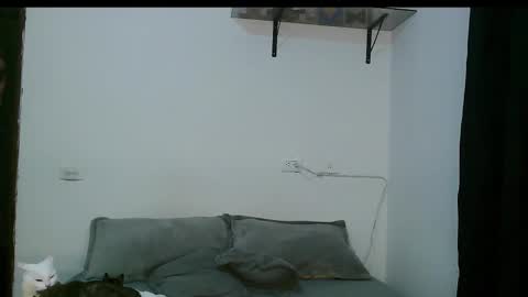 Snapshot of dan_yagami chatting on 03-05-25, 12:27 Dan and Noah online show from 03-05-25, 12:27