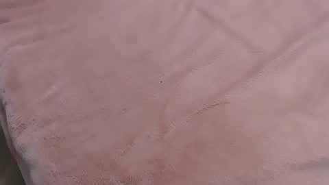  Danna Lovense is activeThere are legends that in this room all your wishes can come true  Private is Open online show from 01-11-25, 09:57