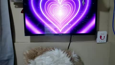 Snapshot of danica_wild chatting on 06-26-26, 11:31 Danica online show from 06-26-26, 11:31