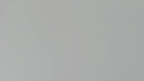 daniel_kingxxx online show from 03-02-26, 12:34