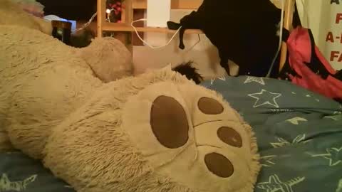 Snapshot of danielatrans662135 chatting on 03-17-26, 02:42 DANIELA online show from 03-17-26, 02:42