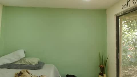 Snapshot of danielitopapii chatting on 01-16-26, 04:00 danielitopapii online show from 01-16-26, 04:00