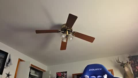 Snapshot of danielp_mod_cb chatting on 10-22-25, 11:15 Daniel y. online show from 10-22-25, 11:15