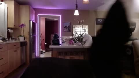 DanikaWhite69 online show from 02-09-25, 08:22