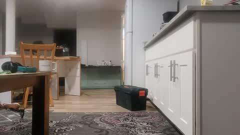 Snapshot of danimal5000 chatting on 11-18-25, 04:00 danimal5000 online show from 11-18-25, 04:00