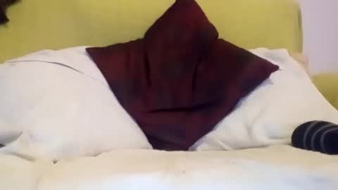 Snapshot of daniroca8 chatting on 02-17-26, 06:36 daniroca8 online show from 02-17-26, 06:36