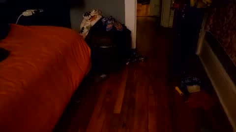 ForAFriend online show from 06-27-26, 05:23