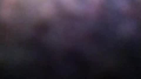 dannowisc online show from 02-23-26, 02:20