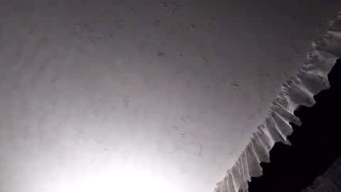 dannowisc online show from 04-07-26, 02:45