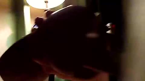 dano9696 online show from 11-01-25, 10:28