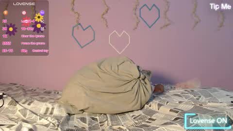 Snapshot of dante_bear chatting on 02-13-26, 11:17 dante_bear online show from 02-13-26, 11:17