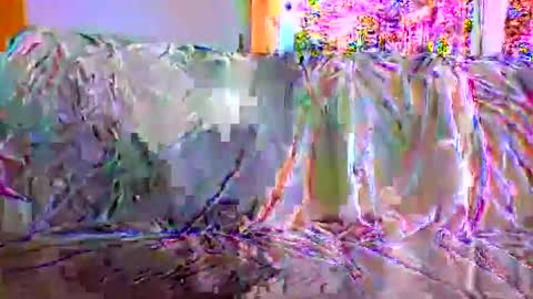 danwick69 online show from 09-17-25, 11:45