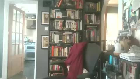 Darcy online show from 03-26-26, 03:17