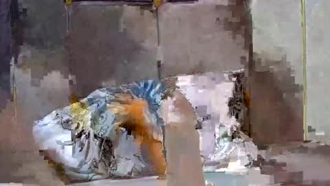 Dark Candy 254 online show from 12-13-24, 03:54