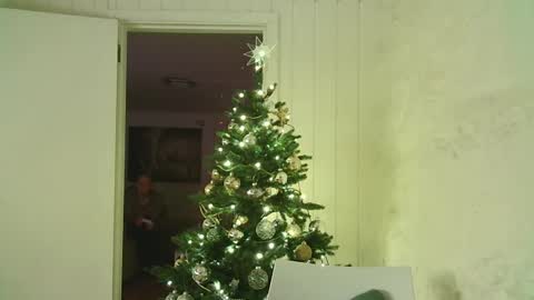 Snapshot of dartanjanas chatting on 01-03-25, 04:06 Dario online show from 01-03-25, 04:06