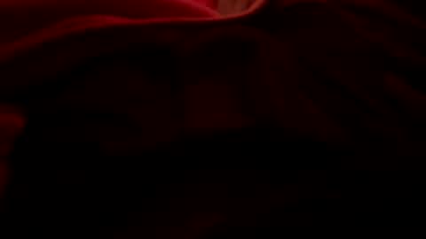 dasquirtmaster online show from 03-27-26, 10:48