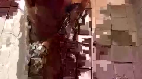 Snapshot of davedowning042075 chatting on 02-05-25, 07:07 davedowning042075 online show from 02-05-25, 07:07