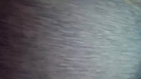 David1438 online show from 04-12-26, 11:37