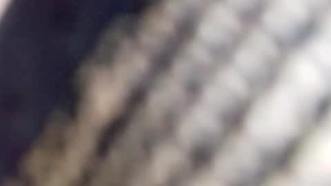 Snapshot of david_stone1969 chatting on 01-23-25, 01:56 david_stone1969 online show from 01-23-25, 01:56