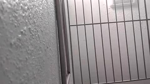 Snapshot of david_stone1969 chatting on 01-25-25, 08:10 david_stone1969 online show from 01-25-25, 08:10