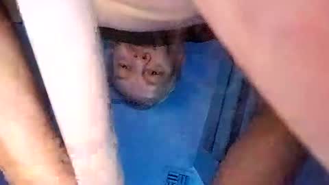 Snapshot of david_stone1969 chatting on 03-08-25, 03:13 david_stone1969 online show from 03-08-25, 03:13