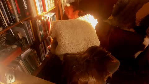 David online show from 01-15-25, 11:10