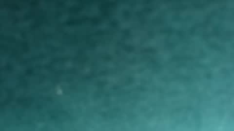 davidf75 online show from 11-12-25, 09:42