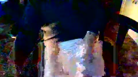 Snapshot of davidneedmore chatting on 03-03-26, 02:34 davidneedmore online show from 03-03-26, 02:34