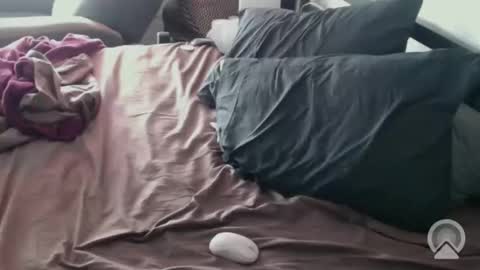 Snapshot of dcteamfucker chatting on 02-14-26, 02:03 DCTeamFucker online show from 02-14-26, 02:03