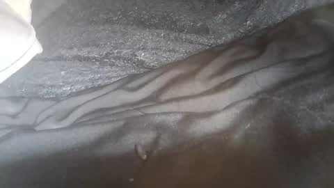 ddick0303 online show from 06-08-26, 06:47