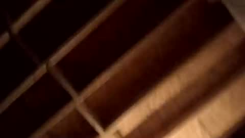 deedeeper747 online show from 06-27-26, 11:21