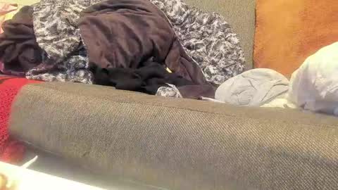 Snapshot of deeznutz343 chatting on 09-09-25, 01:38 Deez Nutz online show from 09-09-25, 01:38