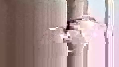 Snapshot of deezy305 chatting on 05-31-26, 04:14 deezy305 online show from 05-31-26, 04:14