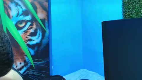 Snapshot of deiby_baby chatting on 01-31-26, 07:11 DEIBY online show from 01-31-26, 07:11