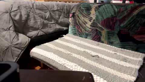 Snapshot of deknaux chatting on 02-01-25, 05:05 deknaux online show from 02-01-25, 05:05