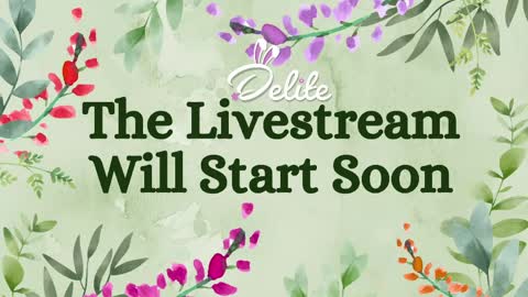 DeLite  Next stream on Wednesday or Thurdsay  online show from 04-14-26, 08:09