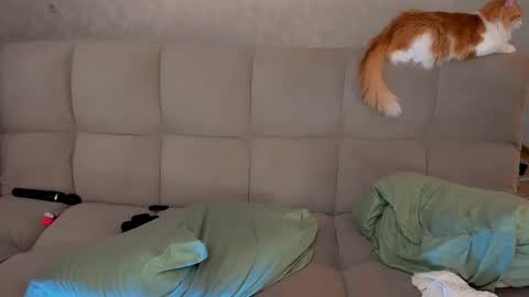 Victoria and Nara twitterinstagram dementra rawrr online show from 03-08-25, 02:55