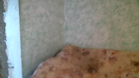 DennisXCarol online show from 04-23-26, 10:14