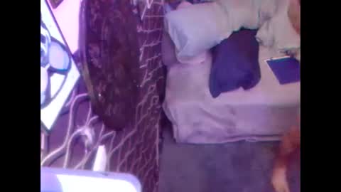 denveversbb online show from 10-05-25, 11:30