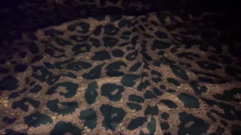 Snapshot of derek829099 chatting on 10-09-25, 07:06 derek829099 online show from 10-09-25, 07:06